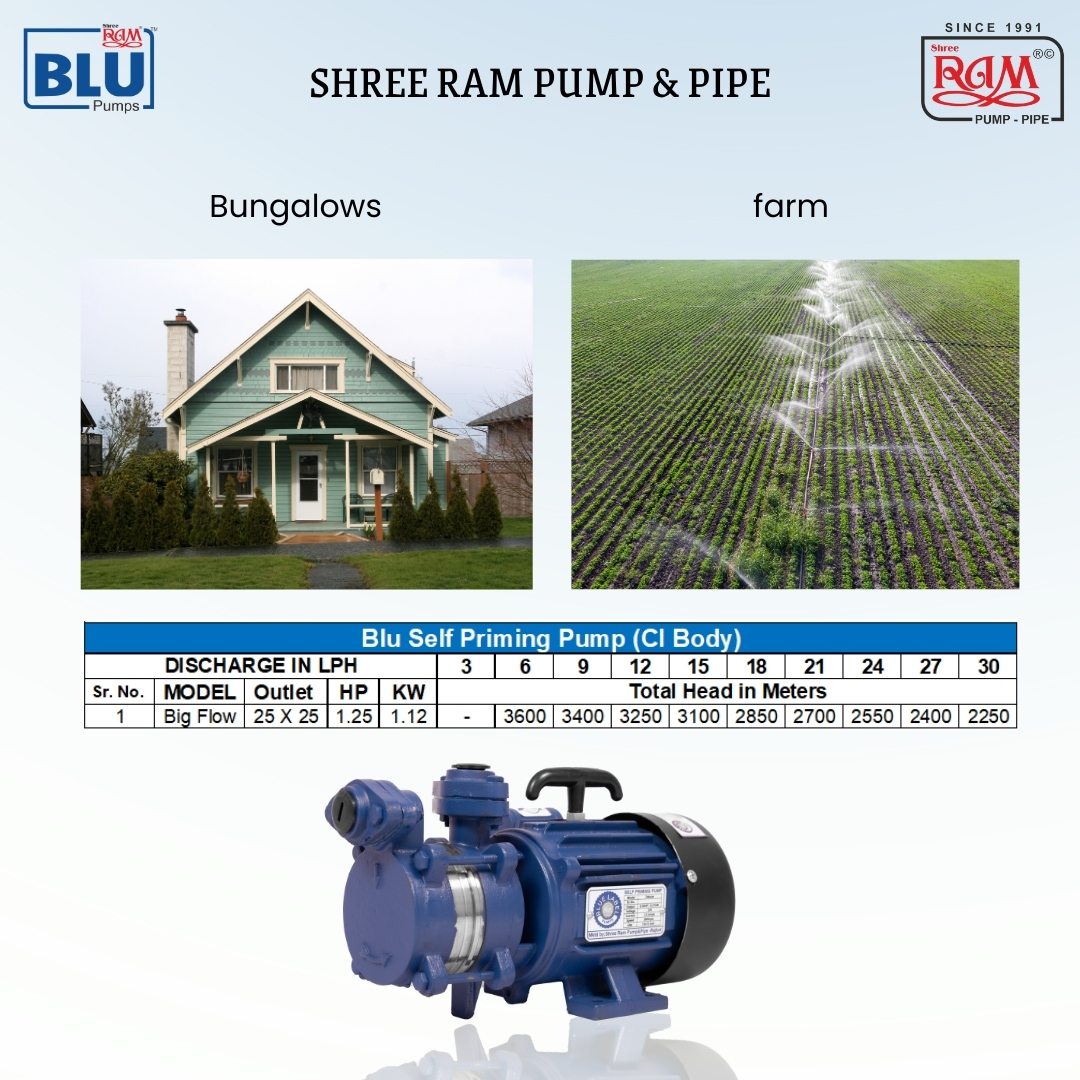 1.25 HP BLU Self Priming Pump Big Flow