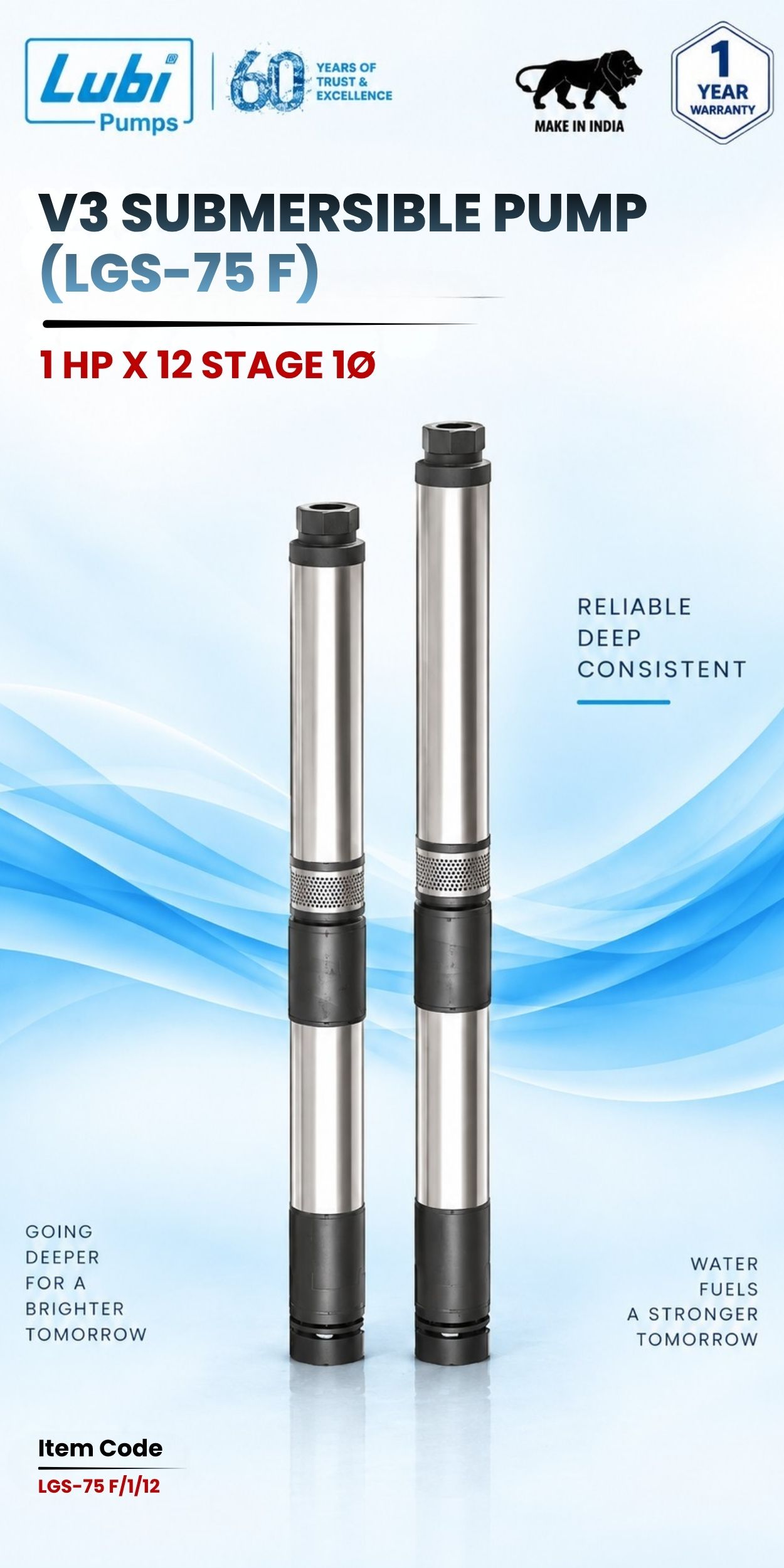 V3 Submersible Pump (LGS-75 F) 1 HP X 12 Stage 1P